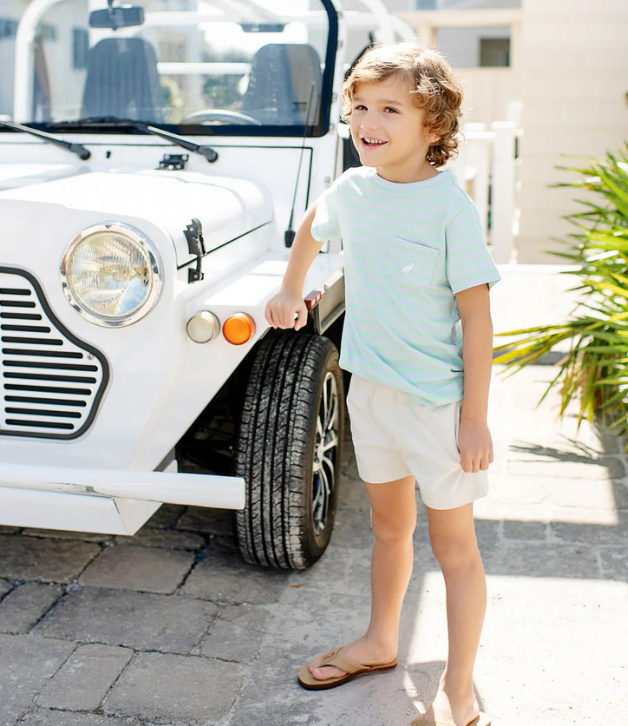 TBBC Sheffield Shorts in Saratoga Stone