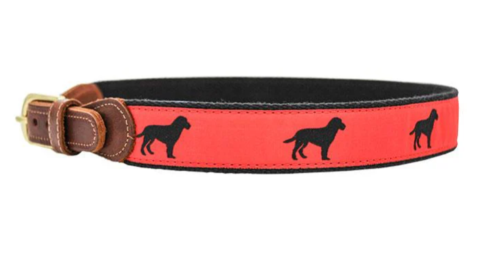 Bailey Boys: Buddy Belt 5 Styles