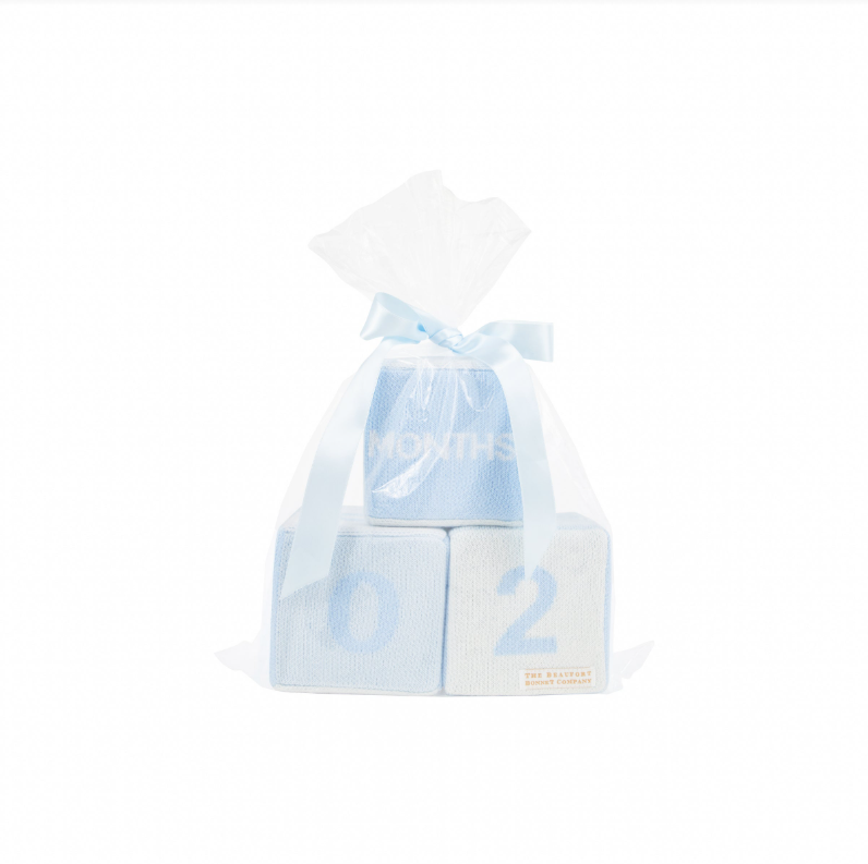 The Beaufort Bonnet Company Blaylock Blocks in Blue