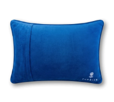 Furbish Needle Point Pillow in Try Me