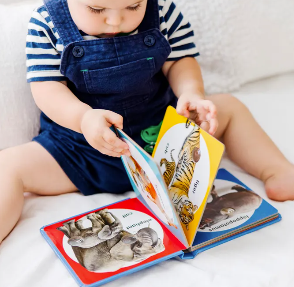Melissa & Doug Poke a Dot Wild Animal Families