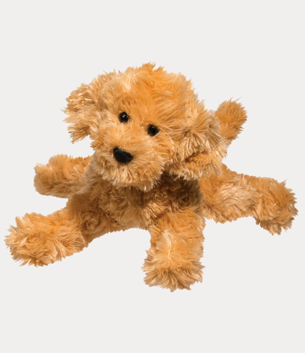 Douglas Molasses Labradoodle