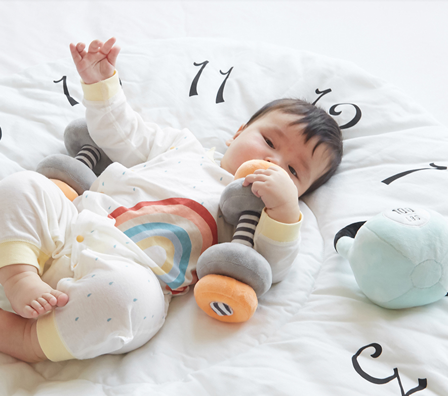 Wonder & Wise Little Lifter Plush Weights