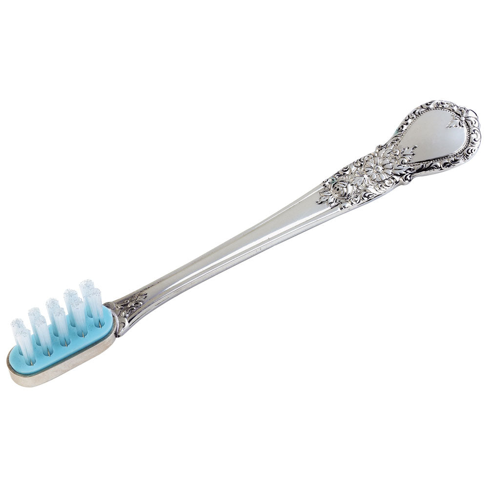 Salisbury: Blue Baby Toothbrush