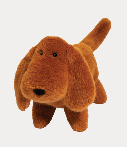 Douglas Dale Dachshund Muzzle