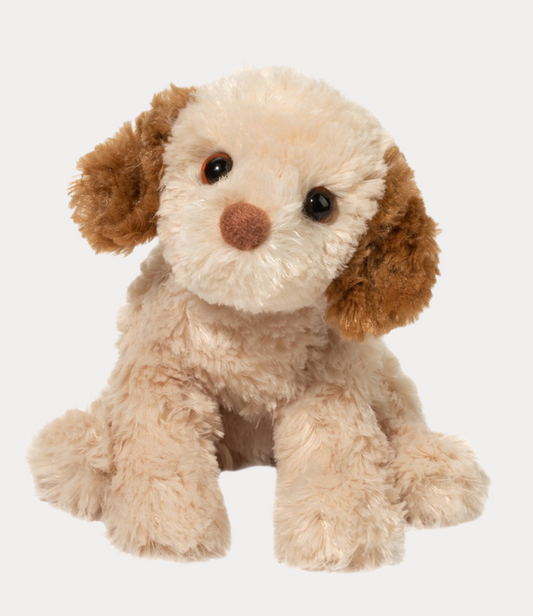 Douglas Biscuit Cavapoo