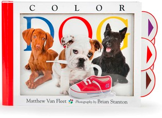 Color Dog