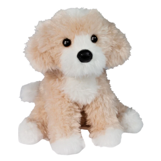 Douglas Dog: Darcy Goldendoodle