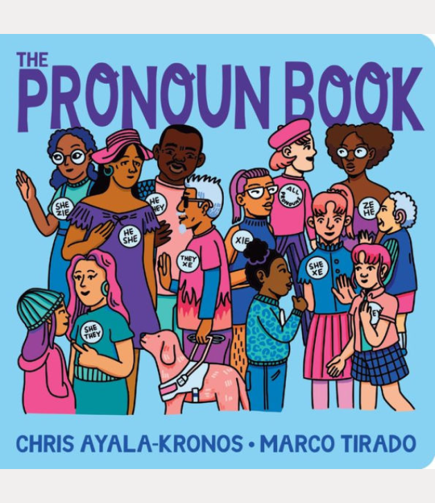 The Pronoun Book