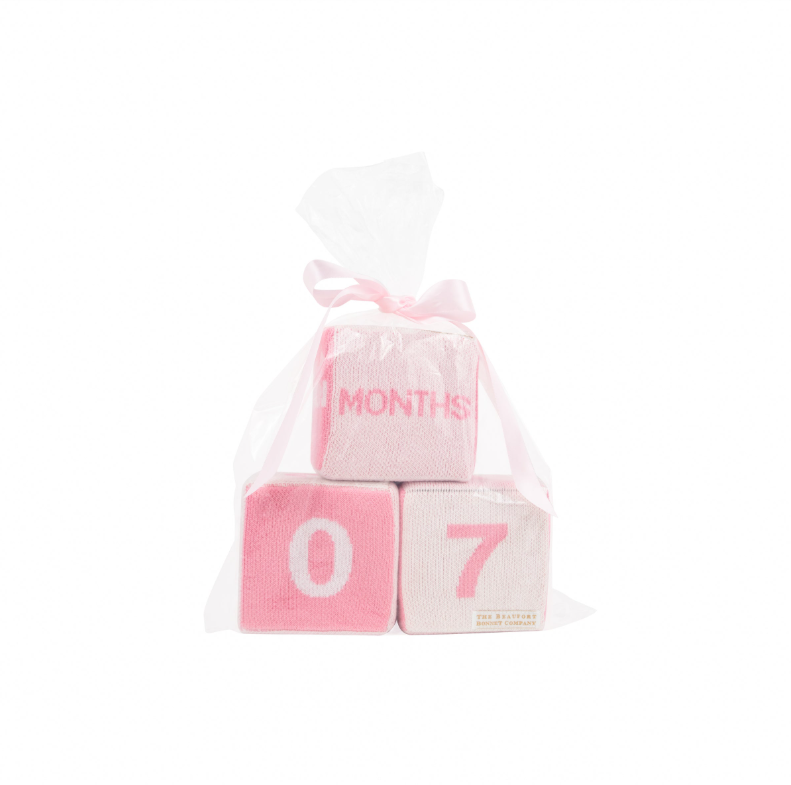 The Beaufort Bonnet Company Blaylock Blocks in Pink