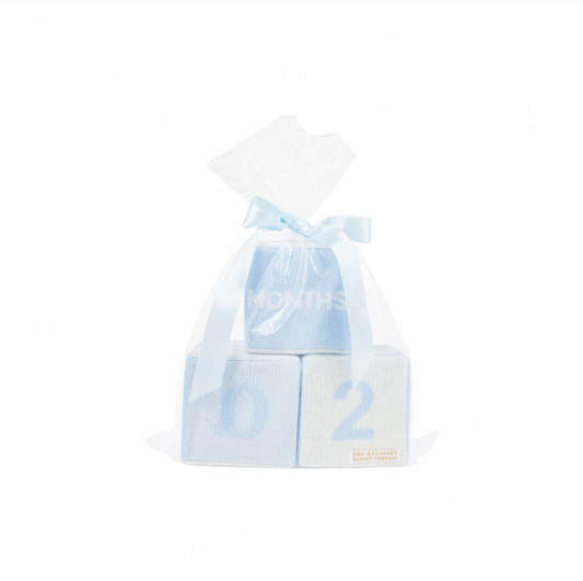 The Beaufort Bonnet Company Blaylock Blocks in Blue