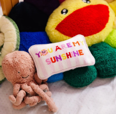 Furbish Needle Point Pillow Mini in You Are My Sunshine