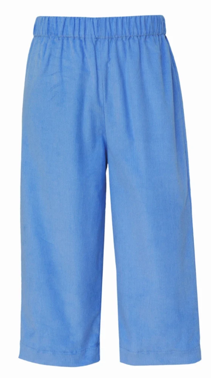Anavini Corduroy Pants in Periwinkle Blue