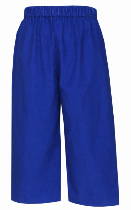 Anavini Corduroy Pants in Royal Blue
