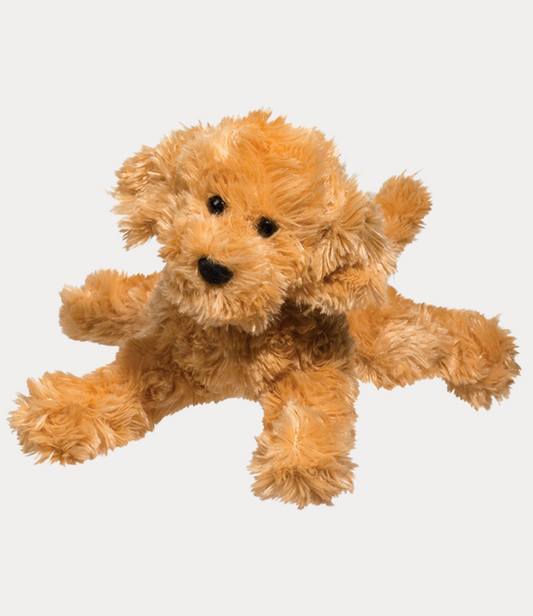 Douglas Molasses Labradoodle