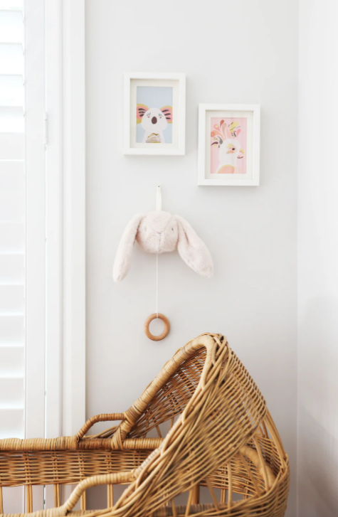 Almirose Darcy Bunny